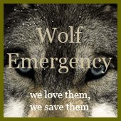 wolf_emergency